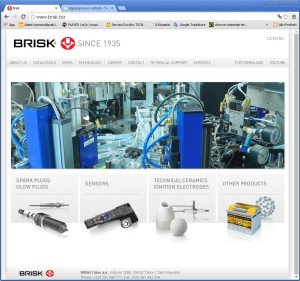 brisk_site